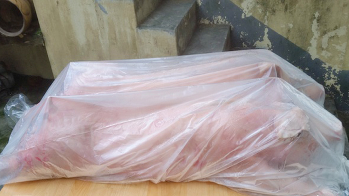 7fb6b2ddb10bd012bb3dfa0814680217_1716051794_6811.jpg 7fb6b2ddb10bd012bb3dfa0814680217_1716051794_6811.jpg