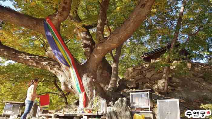 7fb6b2ddb10bd012bb3dfa0814680217_1716056746_1789.jpg 7fb6b2ddb10bd012bb3dfa0814680217_1716056746_1789.jpg